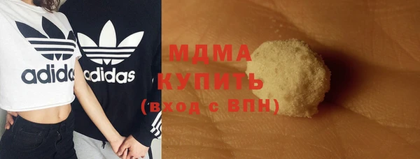 стаф Арсеньев