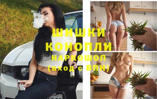 стаф Арсеньев
