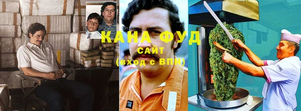стаф Арсеньев