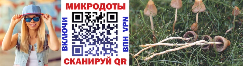 площадка клад  Барабинск  Галлюциногенные грибы MAGIC MUSHROOMS  где купить наркотик 